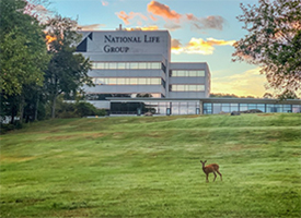 National Life Group Texas Campus morning view