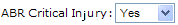 ABR Critical Injury