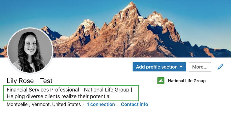 screenshot of a profile Headline on LinkedIn 